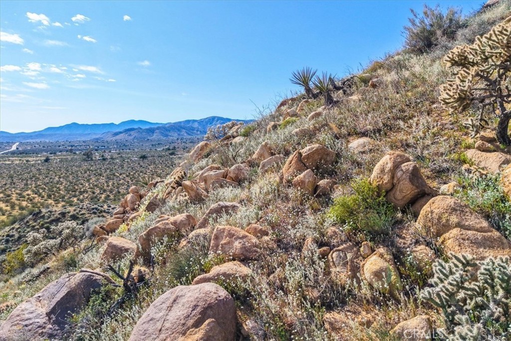 8500 South Samel Road Morongo Valley, CA 92256 - Photo 66 of 75 a view of a dry yard with mountains in the background