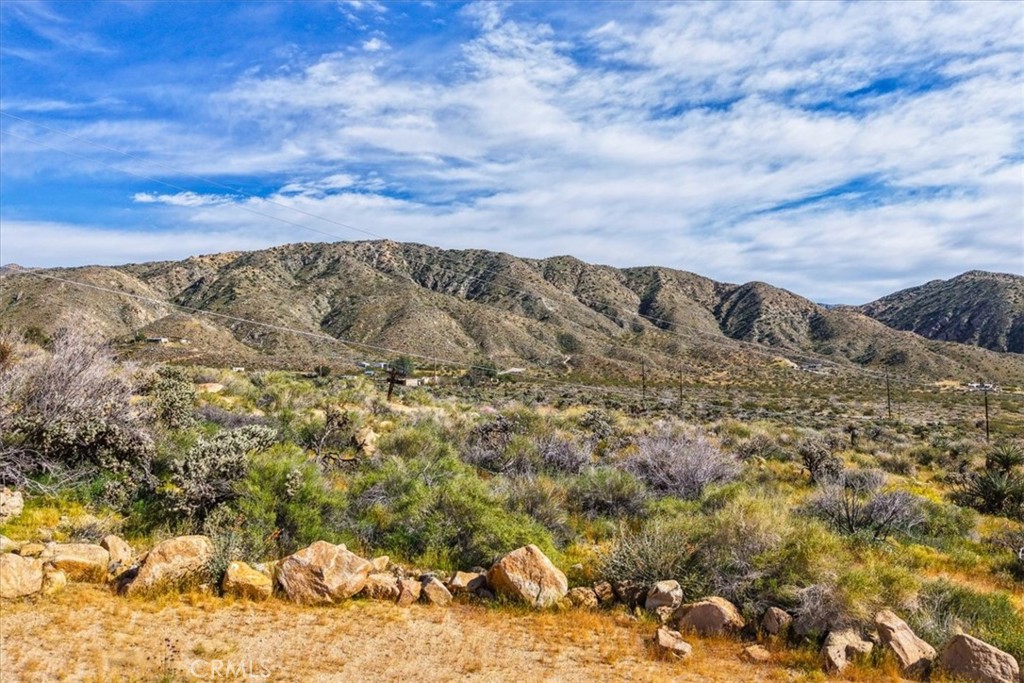 8500 South Samel Road Morongo Valley, CA 92256 - Photo 67 of 75