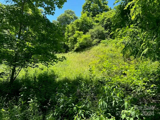 $50,000 | 0 Sunset Mountain, Unit 26/27, Bakersville, NC 28705