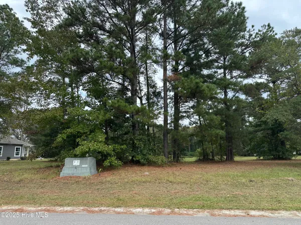 $24,999 | 173 Cherry Laurel Drive, Wallace, NC 28466