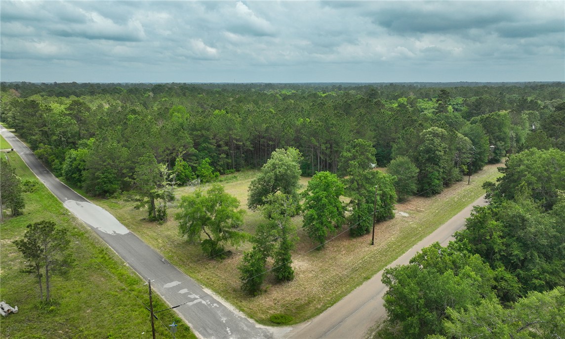 5914 Carter Road Waller, TX 77484 - Photo 5 of 41