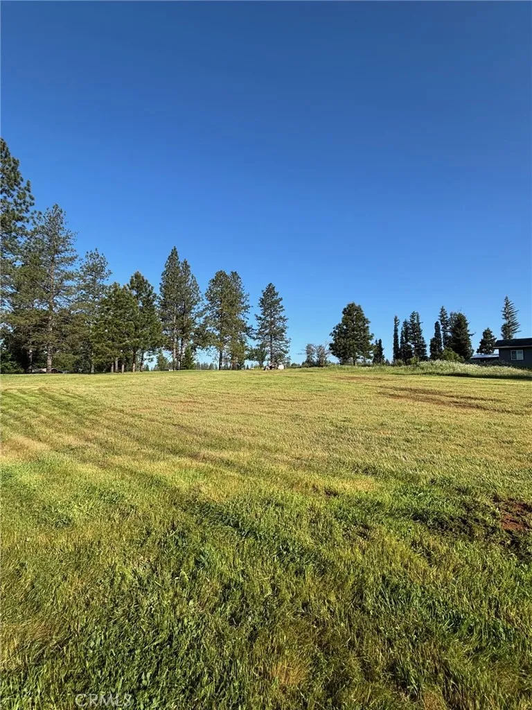 0 Libby Paradise, CA 95969 - Photo 4 of 11