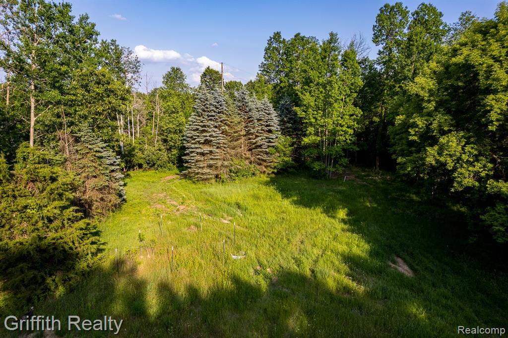 4433 Brighton Road Howell, MI 48843 - Photo 2 of 29