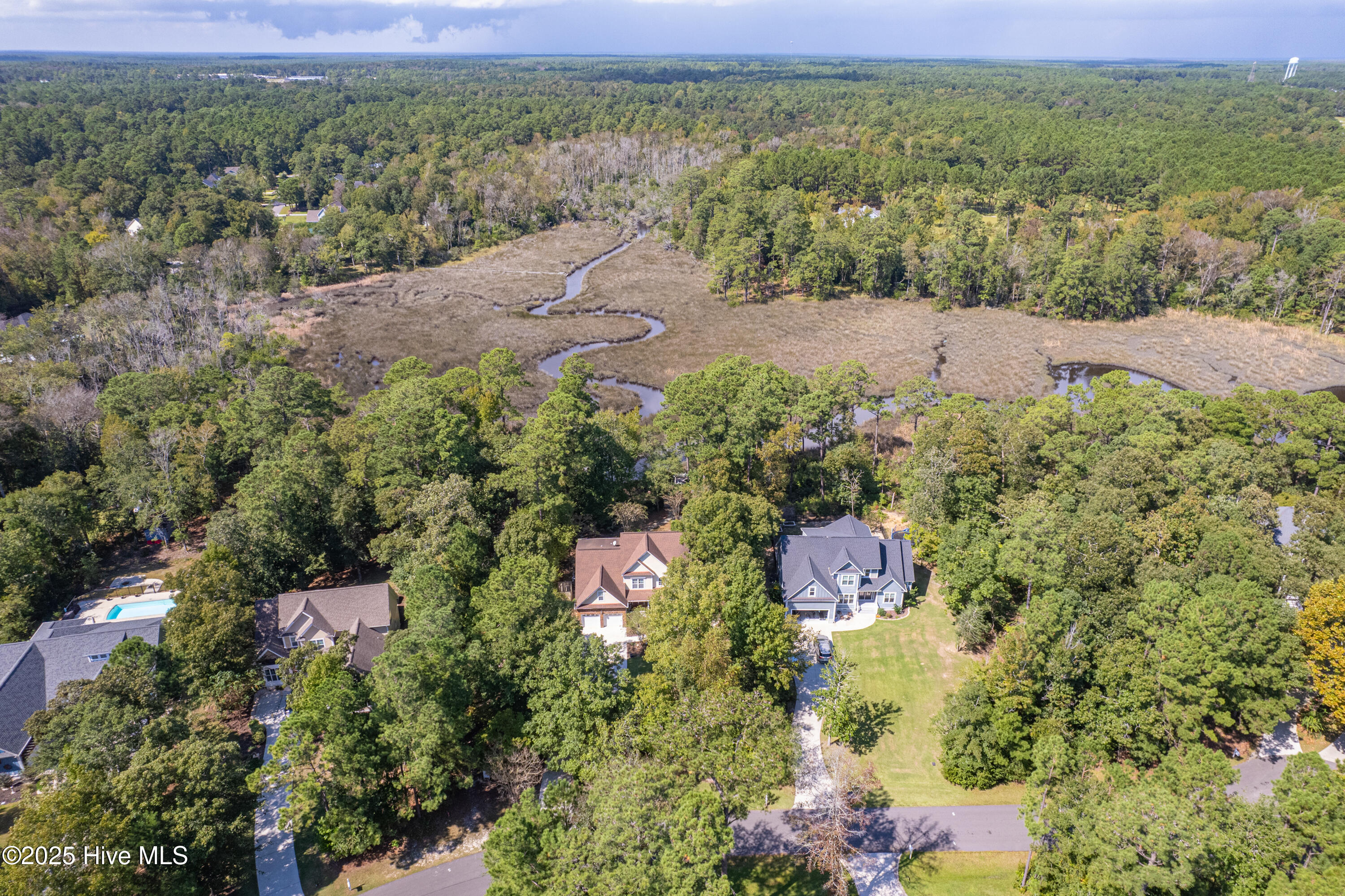 117 Canvasback Point Hampstead, NC 28443 - Photo 55 of 65 117 Canvasback-48