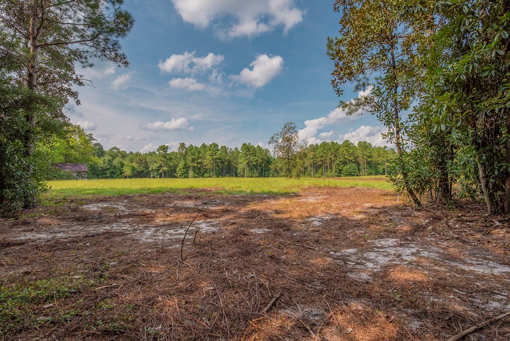 241 Voyager Road Salley, SC 29137 - Photo 18 of 31