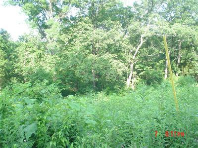 460 Lulbegrud Road Winchester, KY 40391 - Photo 4 of 5 Photo 4