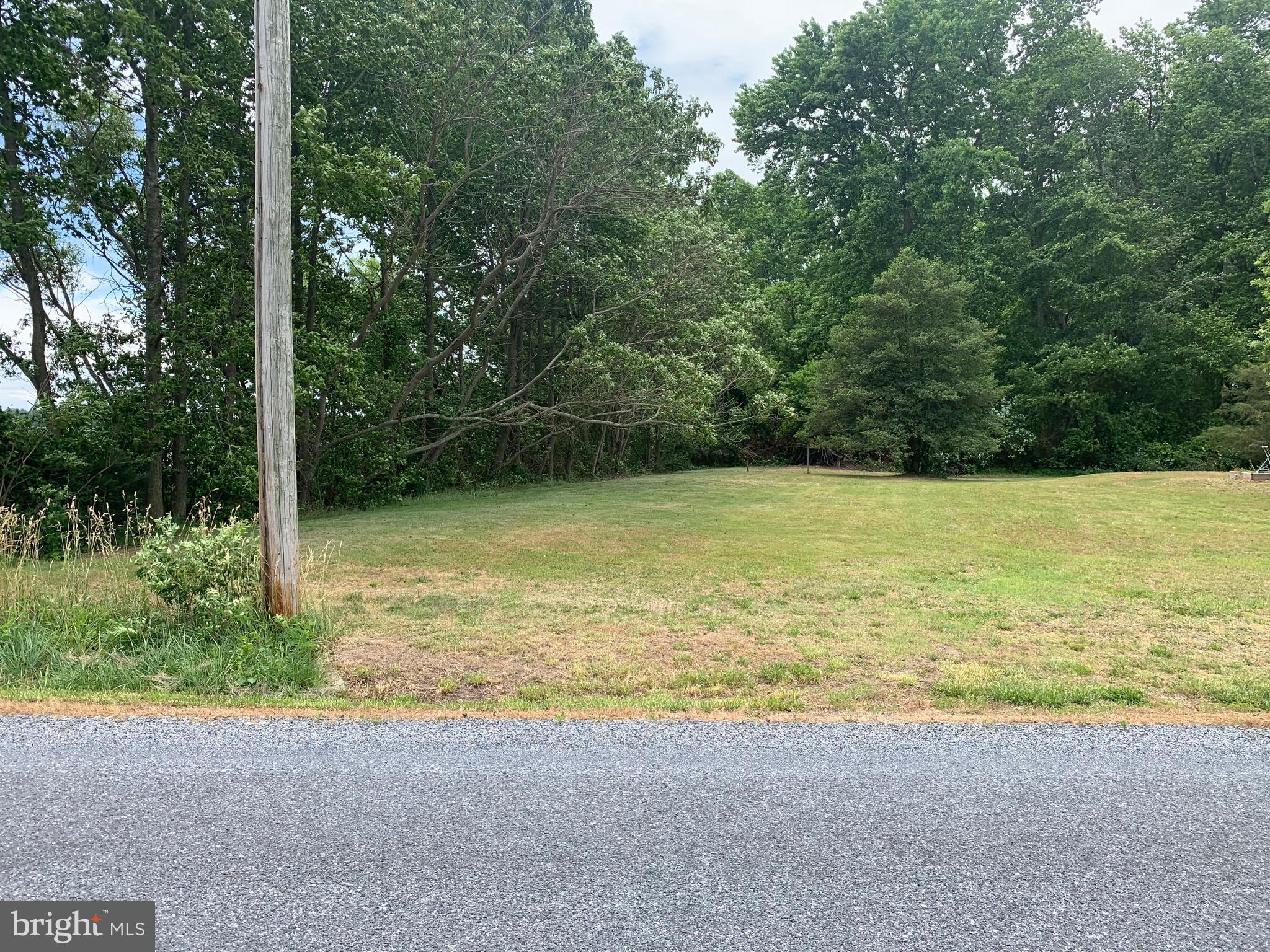 LEFT SIDE OF YARD WITH THE MOUND SYSTEM