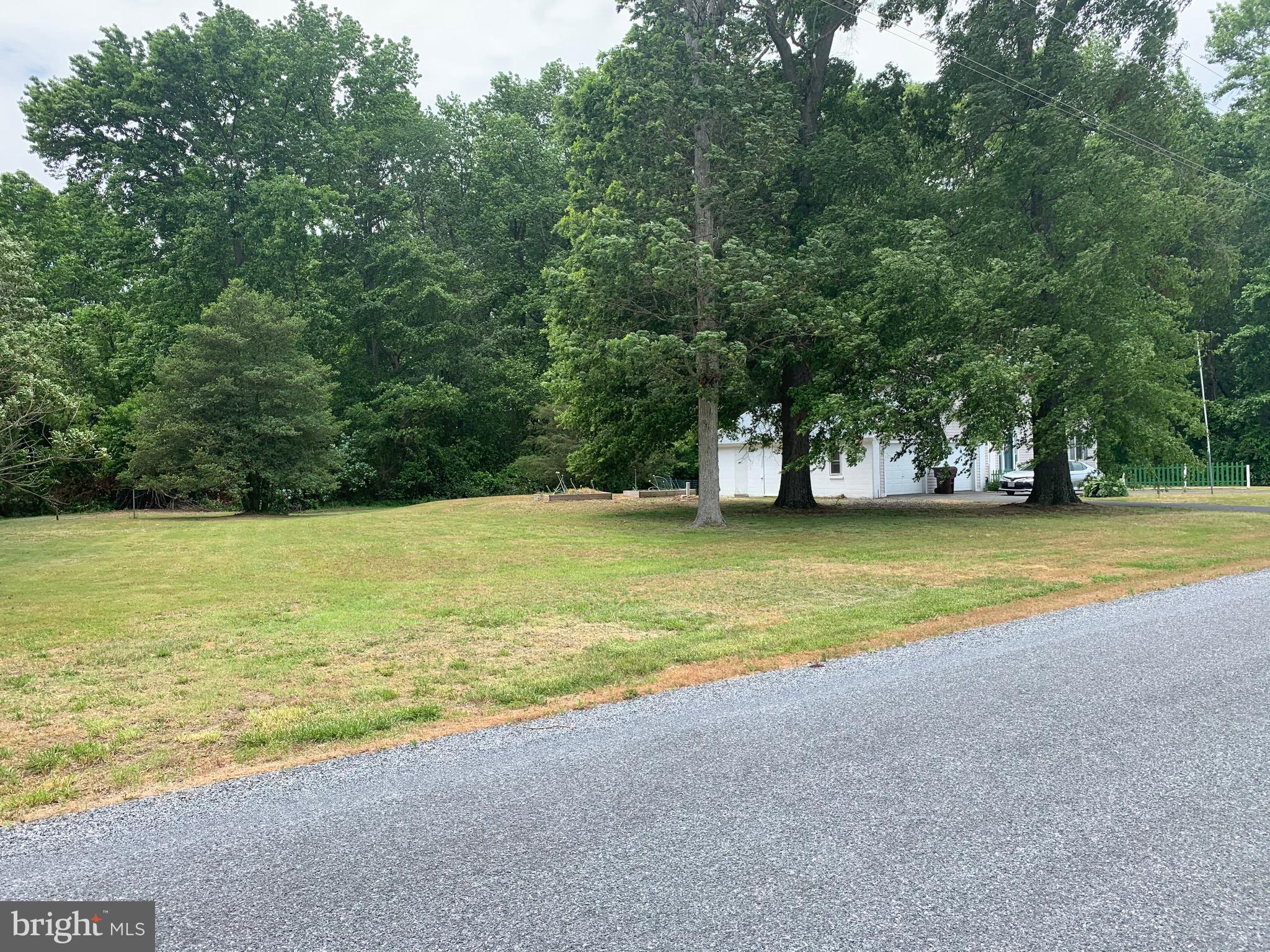 LEFT SIDE OF YARD