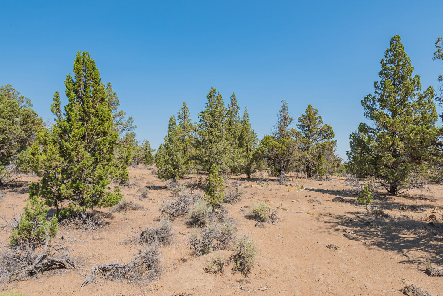 20920 Southwest Gift Road Bend, OR 97703 - Photo 14 of 20 20920 SW Gift Rd Bend OR 97701-large-014