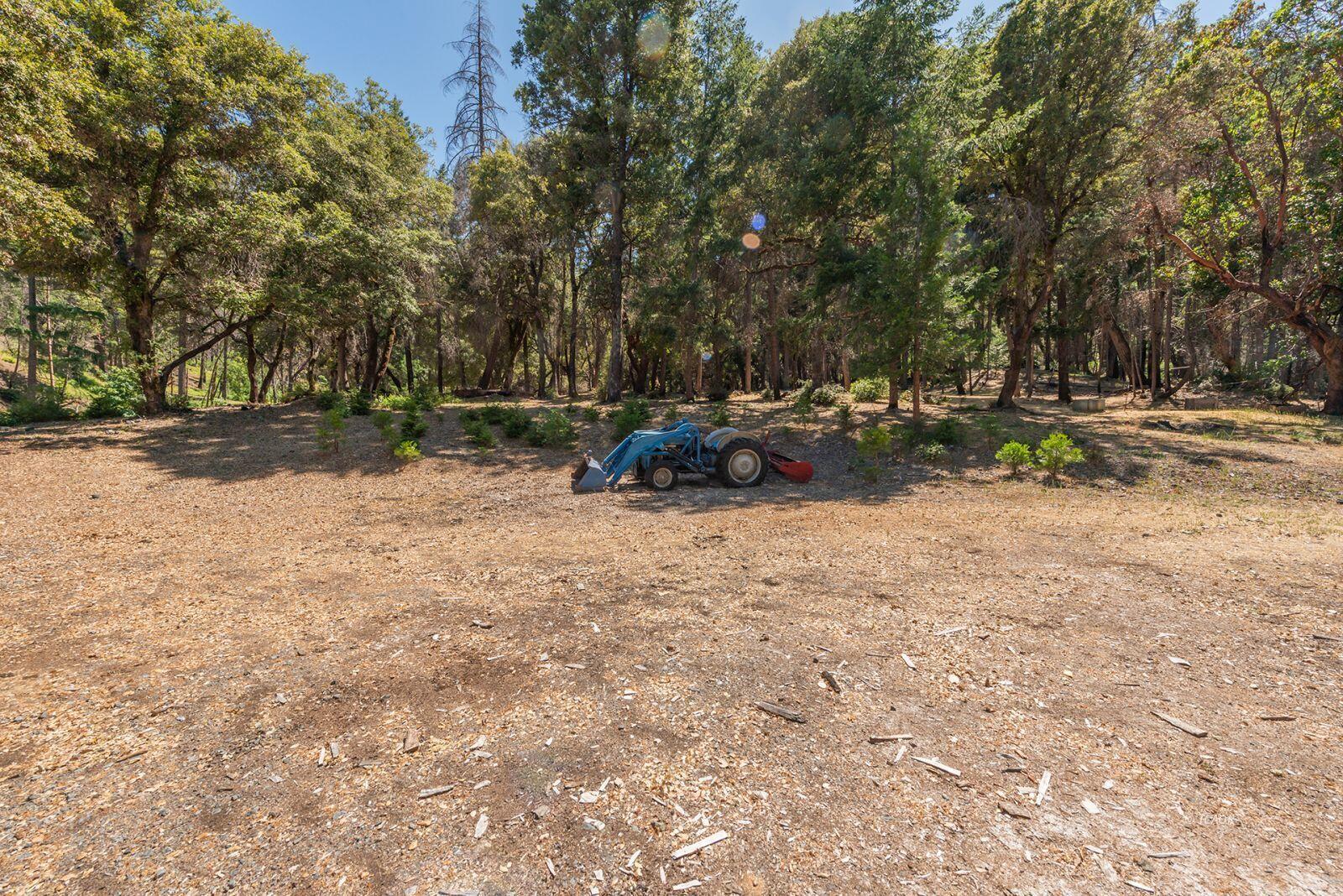 1004 Friedrich Road Burnt Ranch, CA 95527 - Photo 29 of 50 IMAGE 28