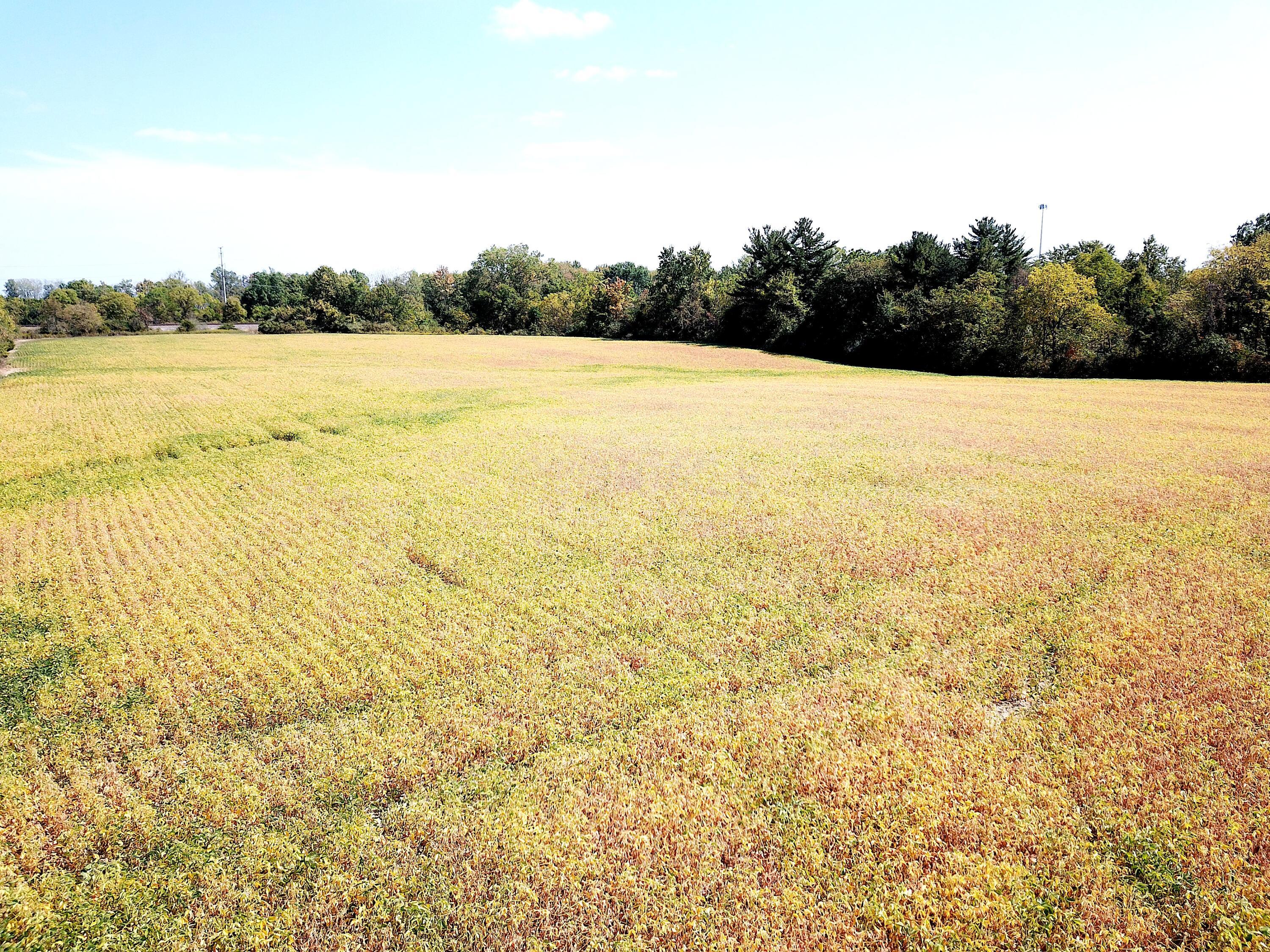 0 North Road Lewis Center, OH 43035 - Photo 22 of 23 DJI_0933