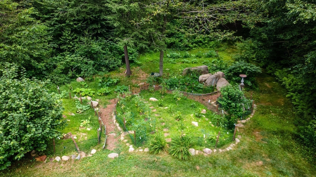 188 Hubbardston Road Templeton, MA 01468 - Photo 28 of 33 a backyard of a house with lots of trees