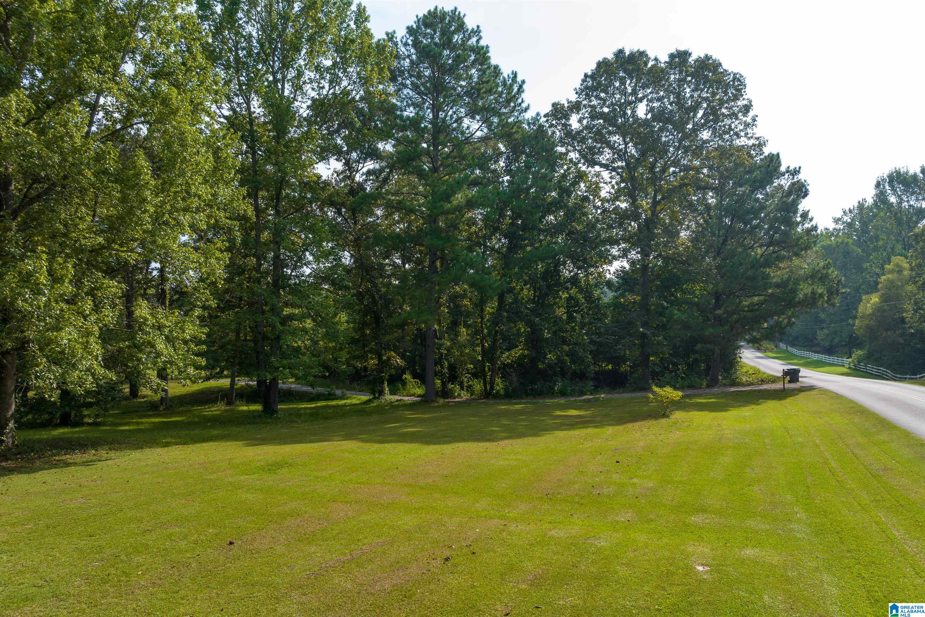 525 Deer Trace Road Pell City, AL 35125 - Photo 7 of 44