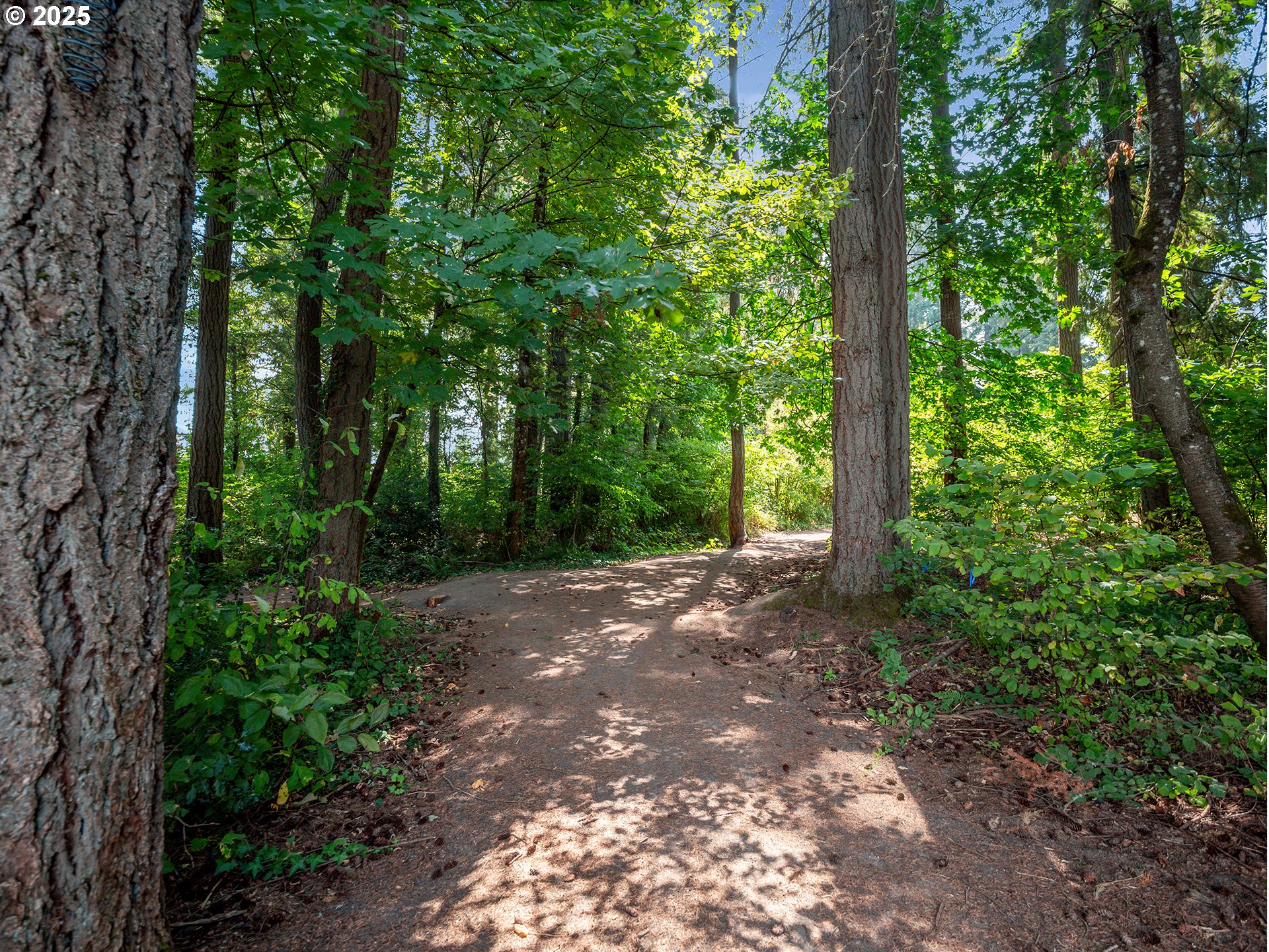 29385 Southwest Teton Way Wilsonville, OR 97070 - Photo 46 of 48