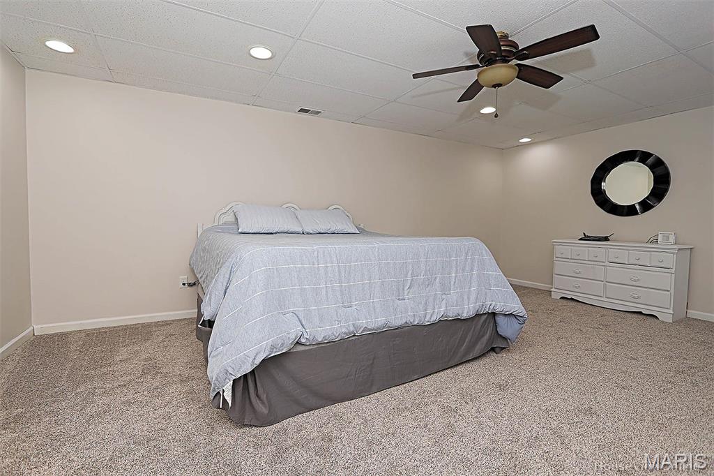 230 Matt Lane Jackson, MO 63755 - Photo 29 of 58