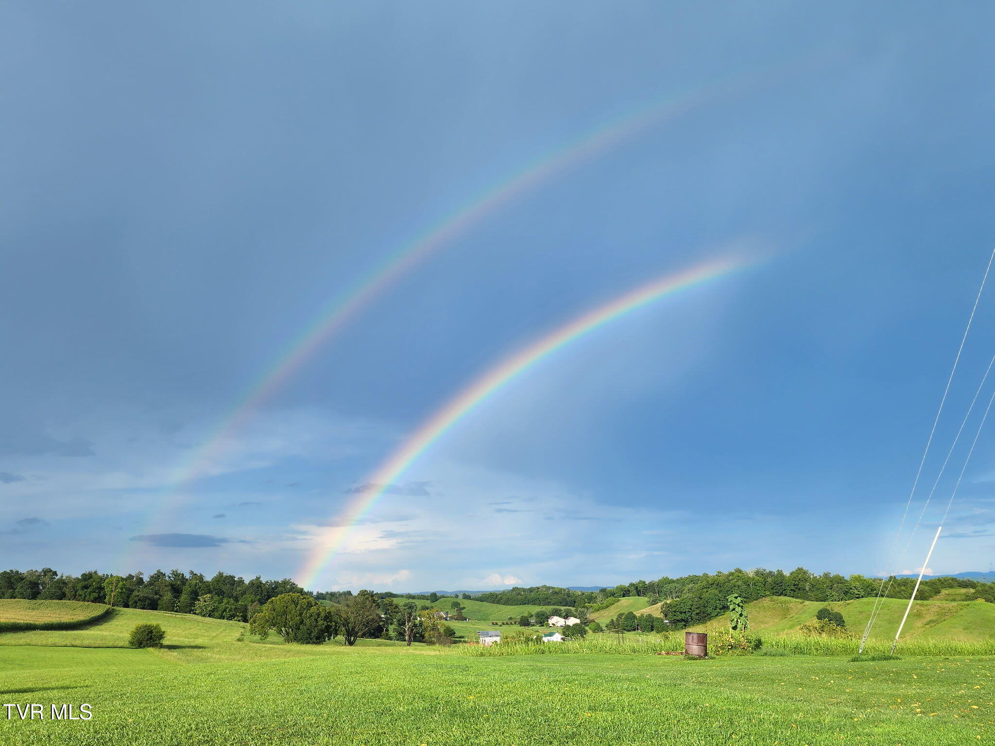 341 Wild Rye Lane Midway, TN 37809 - Photo 19 of 32 2612621296375552775