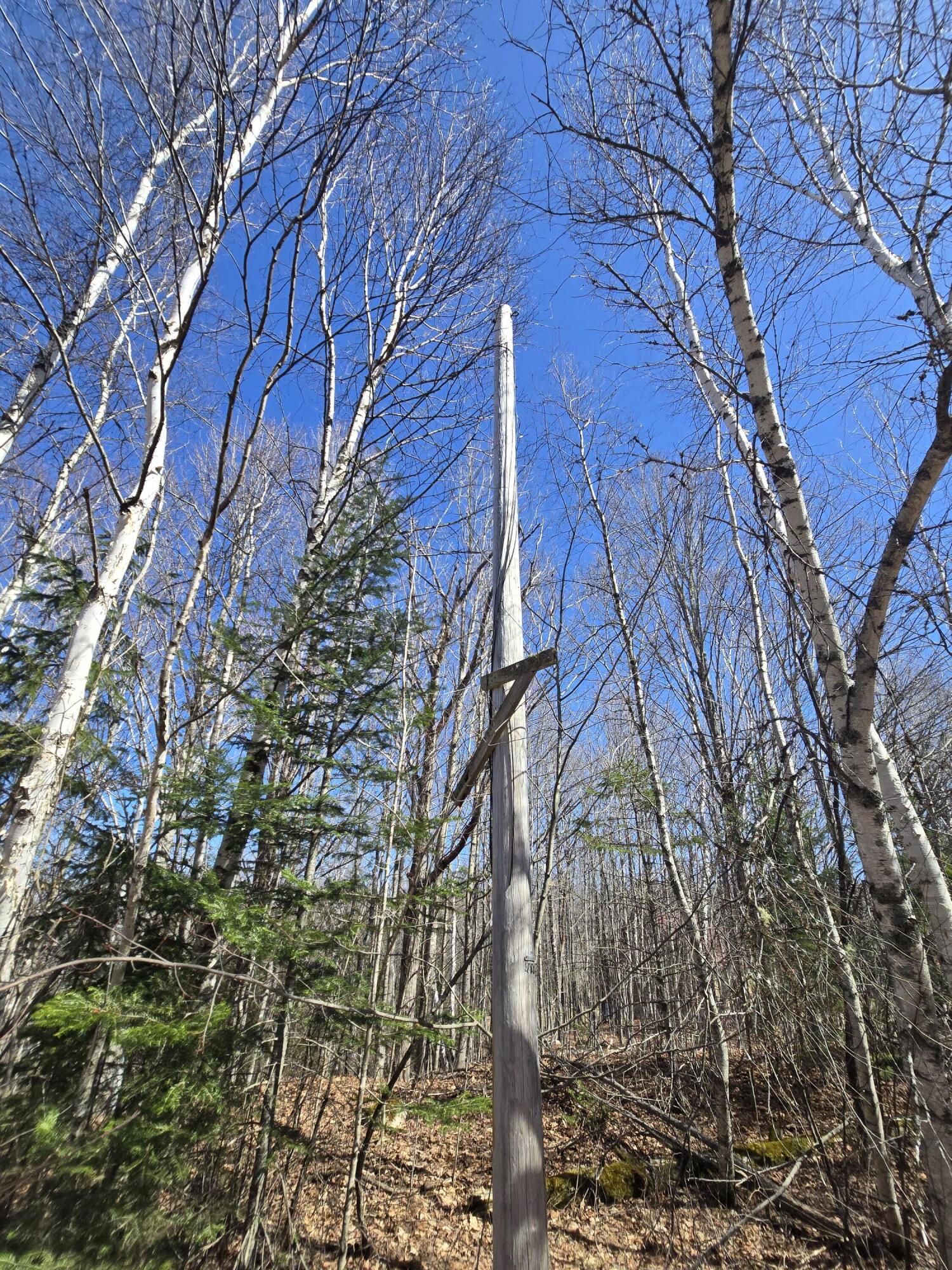 436 Pattagumpus Road Medway, ME 04460 - Photo 11 of 13 20260417_140913