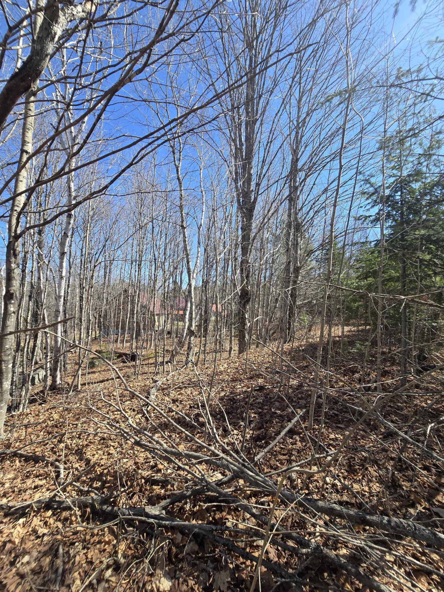 436 Pattagumpus Road Medway, ME 04460 - Photo 12 of 13 20260417_140934