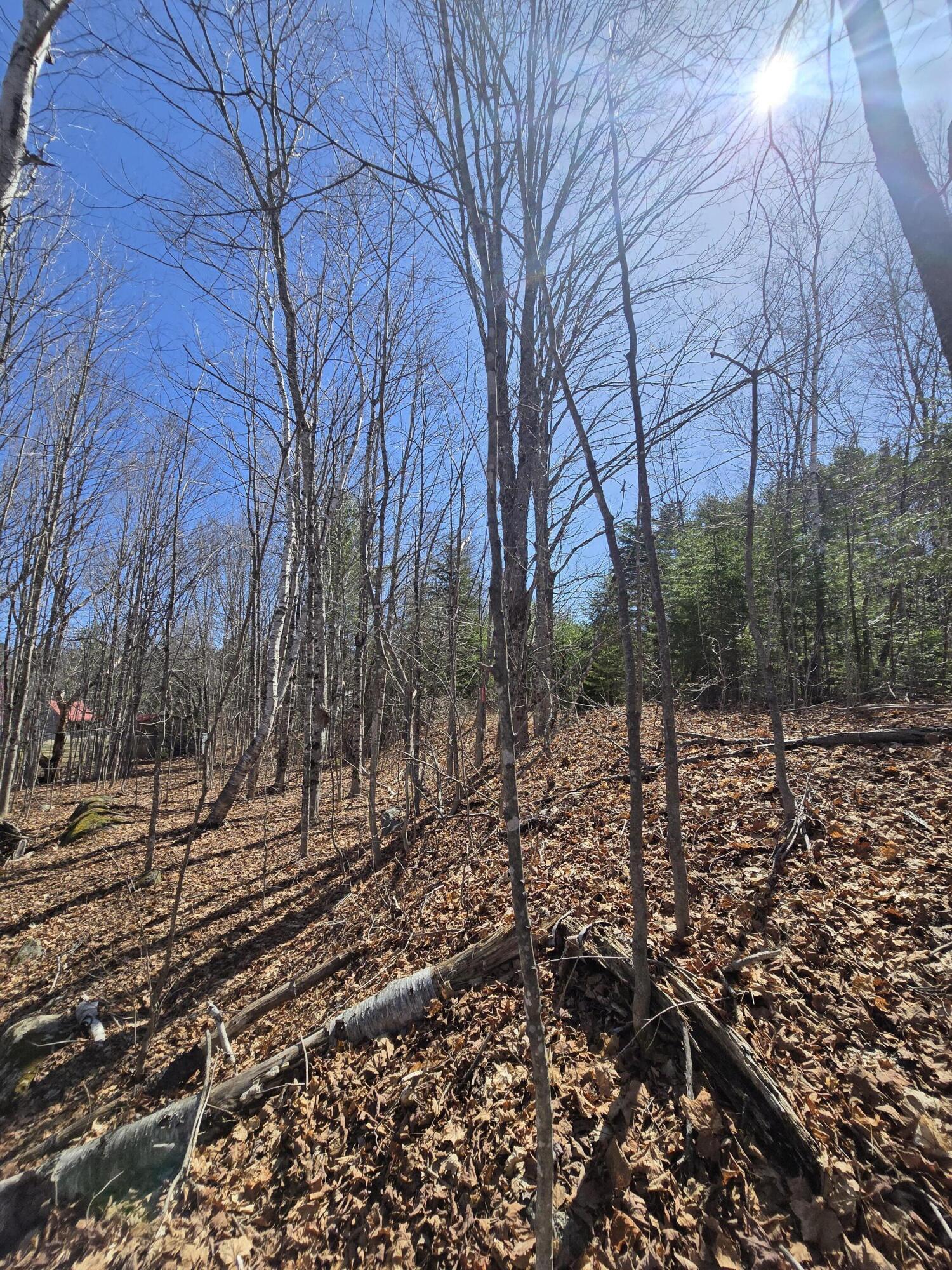 436 Pattagumpus Road Medway, ME 04460 - Photo 13 of 13 20260417_141130