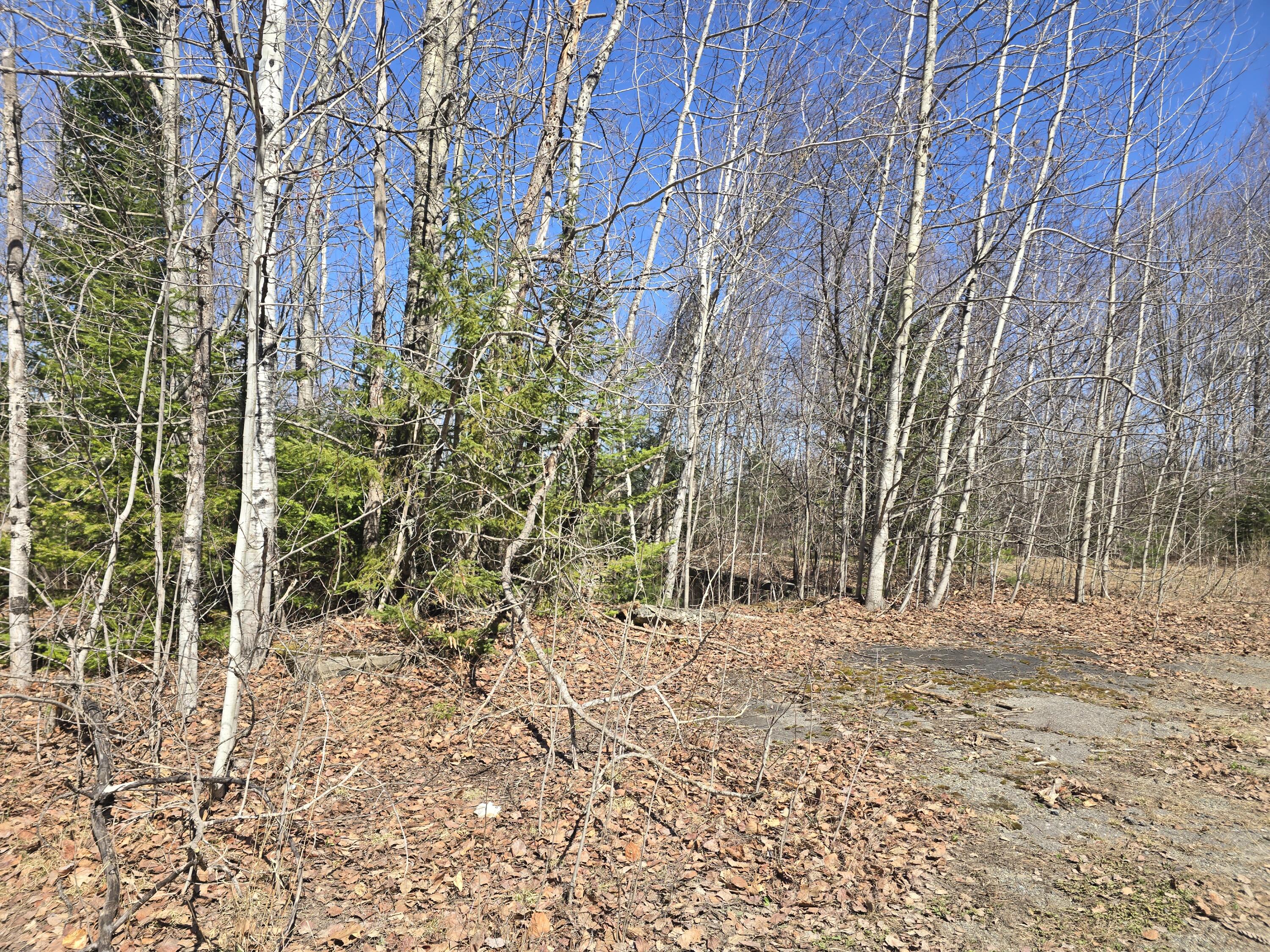 436 Pattagumpus Road Medway, ME 04460 - Photo 2 of 13 20260417_140438