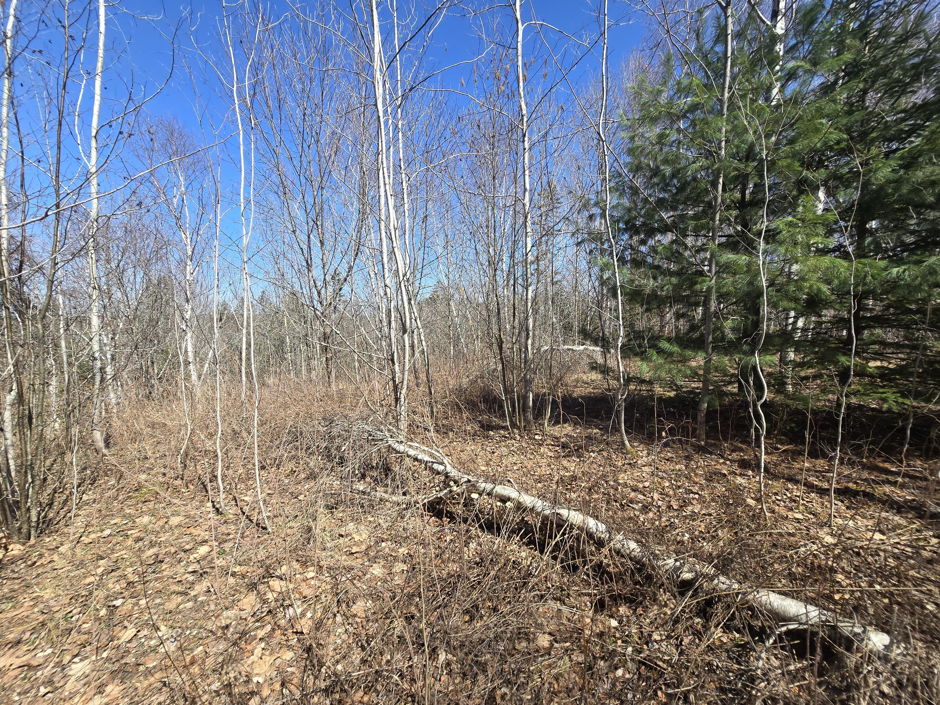 436 Pattagumpus Road Medway, ME 04460 - Photo 4 of 13 20260417_140559