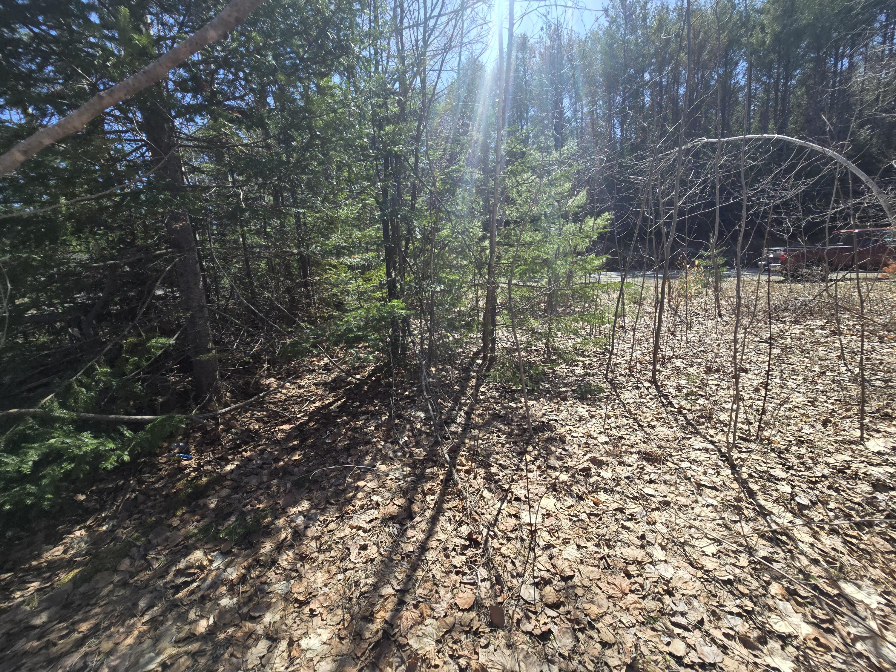 436 Pattagumpus Road Medway, ME 04460 - Photo 6 of 13 20260417_140659