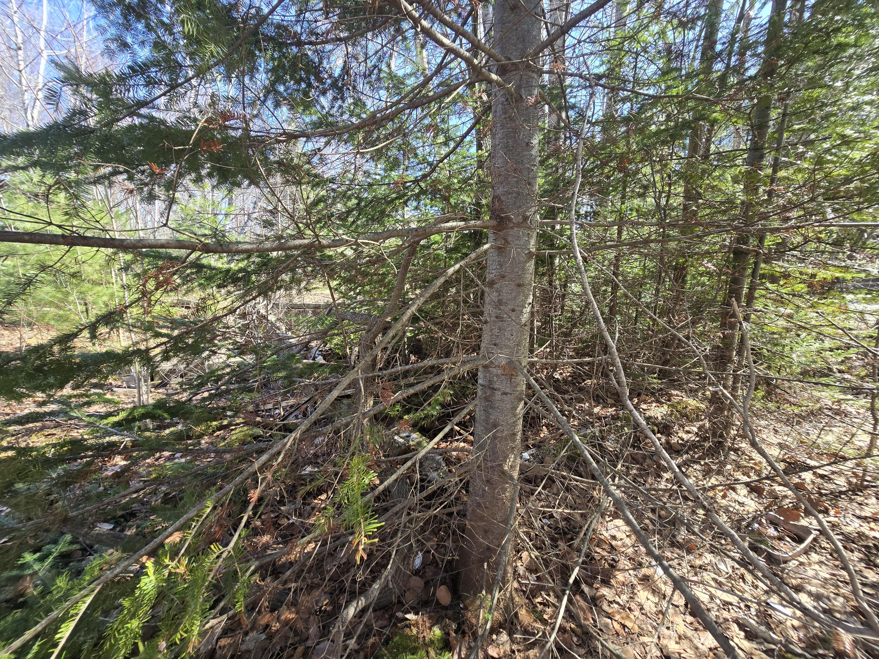 436 Pattagumpus Road Medway, ME 04460 - Photo 7 of 13 20260417_140709