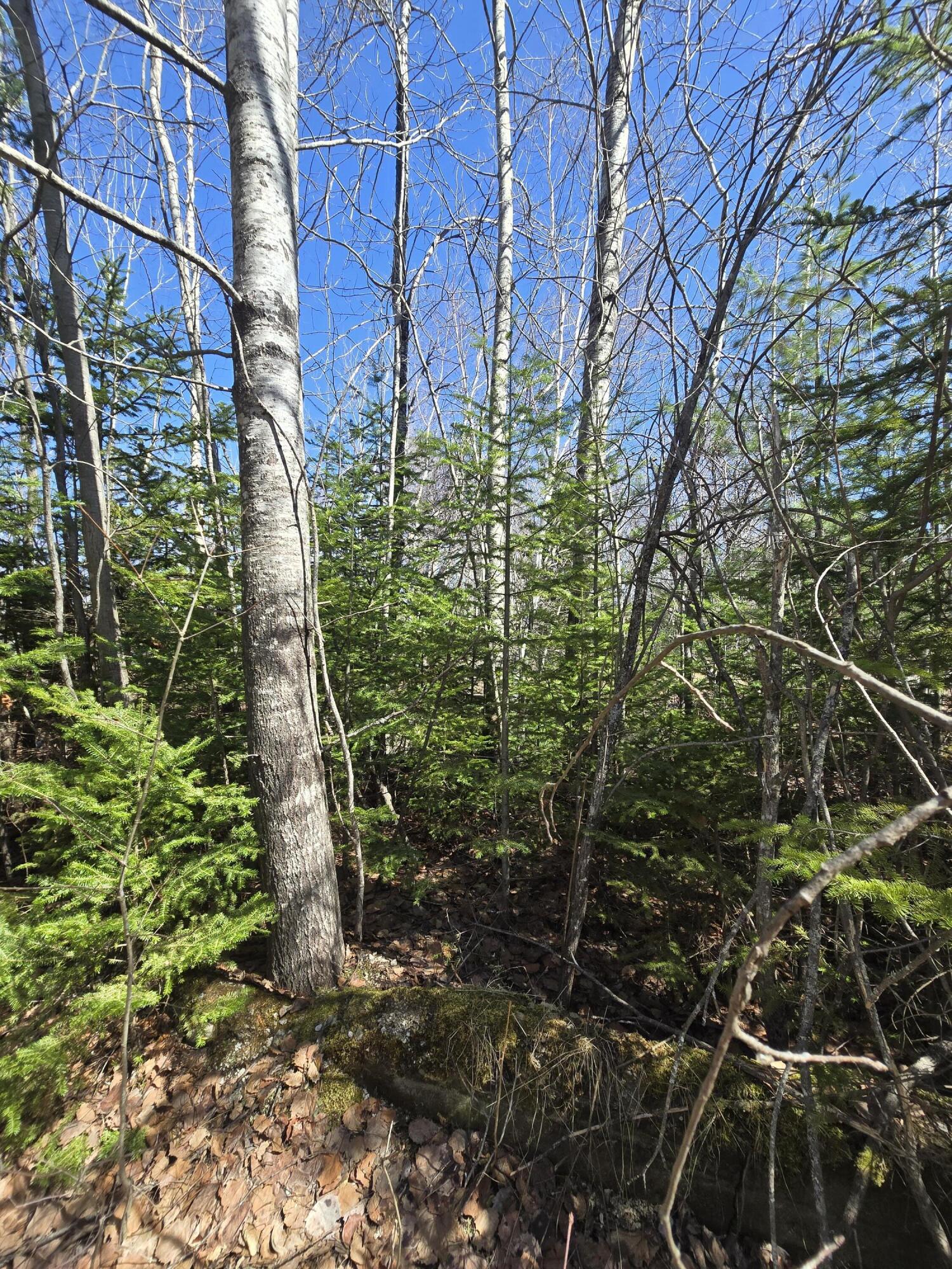 436 Pattagumpus Road Medway, ME 04460 - Photo 8 of 13 20260417_140733