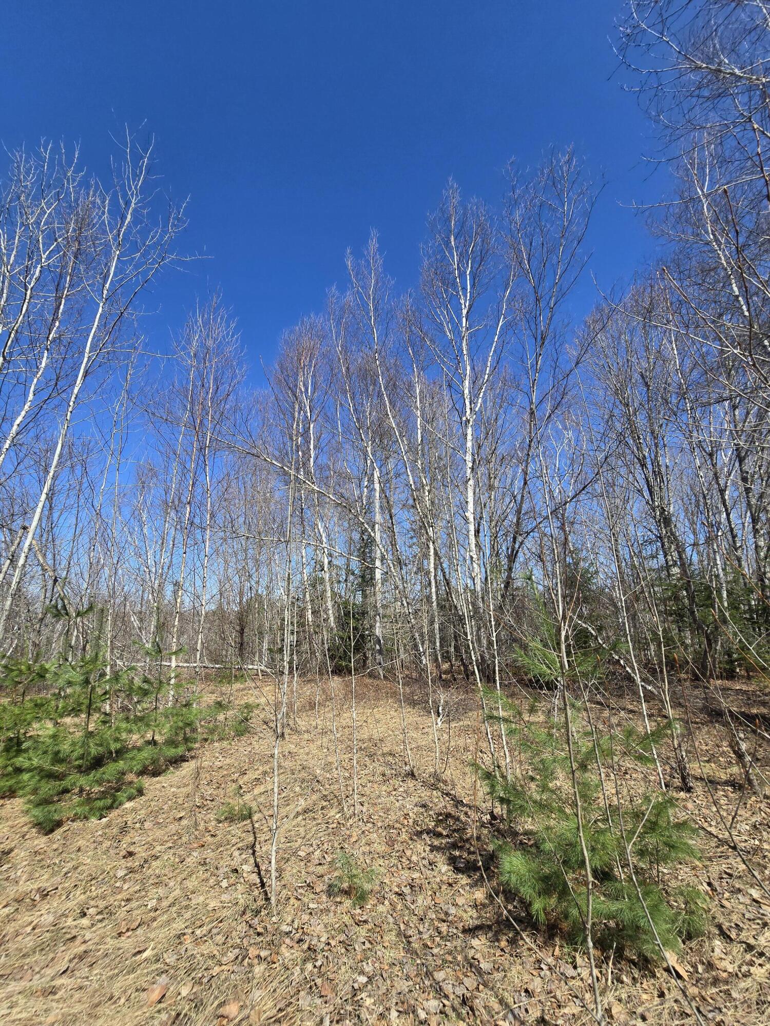 436 Pattagumpus Road Medway, ME 04460 - Photo 10 of 13 20260417_140846