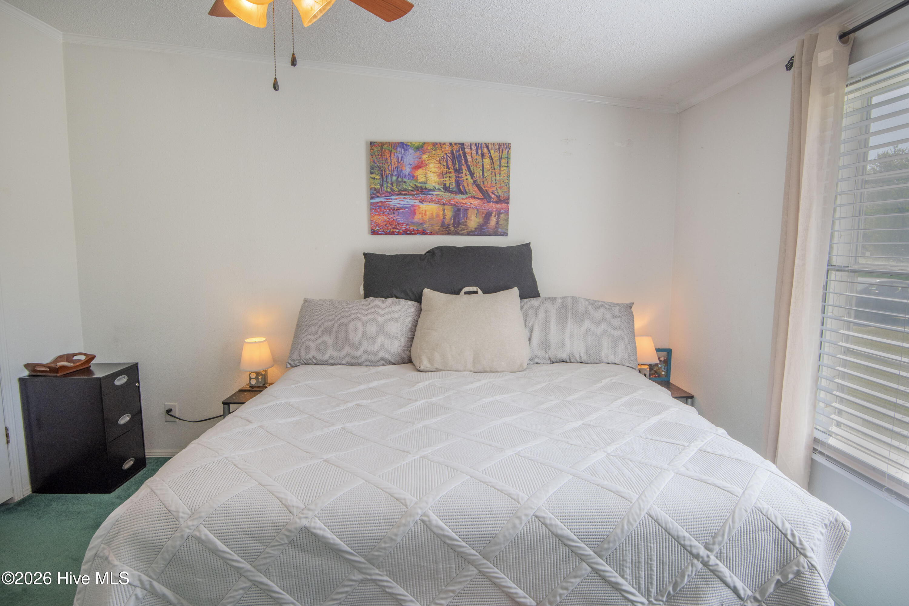 3870 Kings Crossroads Road Greenville, NC 27834 - Photo 30 of 38
