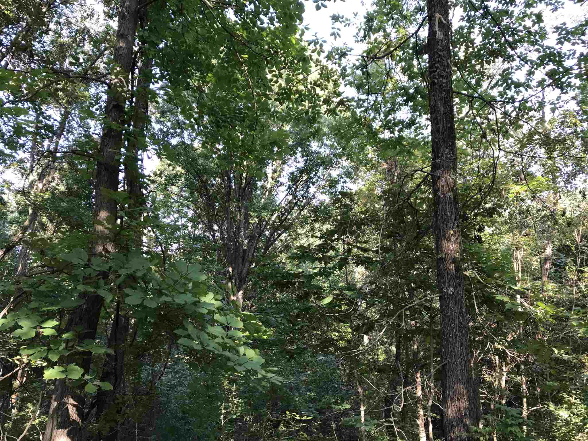9901 Denzer Road Evansville, IN 47720 - Photo 11 of 16 Gallery Image 11