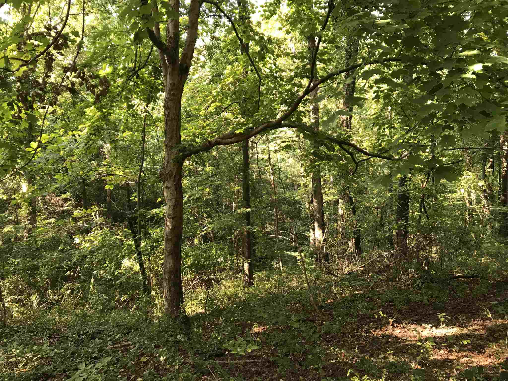 9901 Denzer Road Evansville, IN 47720 - Photo 13 of 16 Gallery Image 13