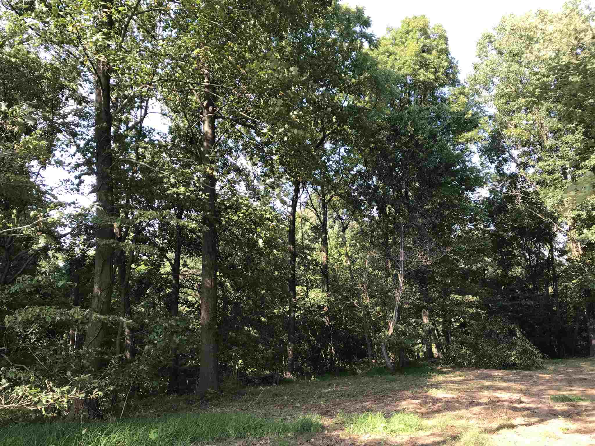 9901 Denzer Road Evansville, IN 47720 - Photo 3 of 16 Gallery Image 3
