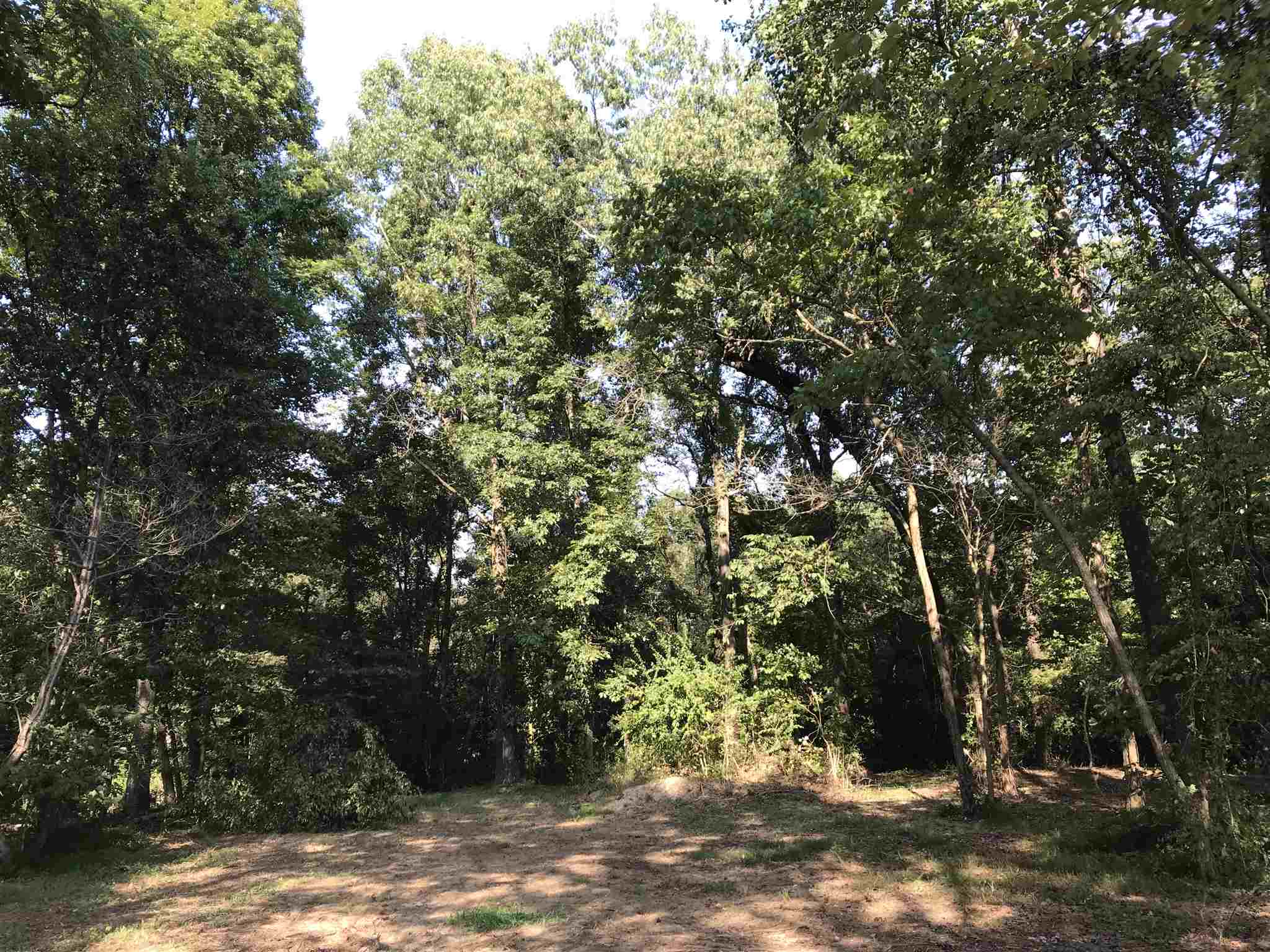 9901 Denzer Road Evansville, IN 47720 - Photo 5 of 16 Gallery Image 5
