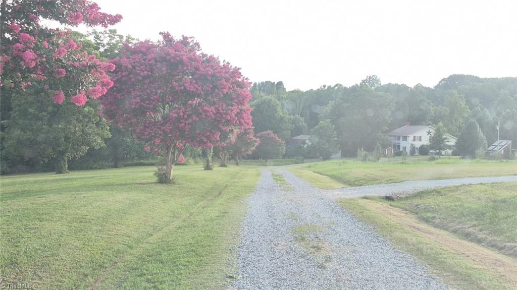 141 Old Thomas Farm Road Lexington, NC 27295 - Photo 4 of 15 looking down the tree line with trees in full bloom
