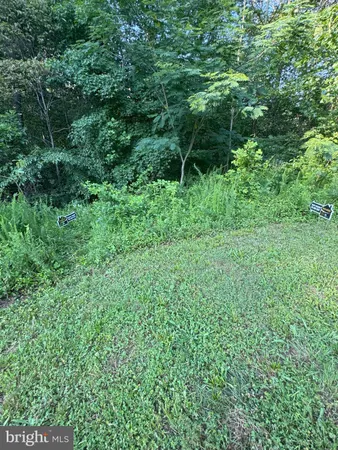 a view of an ocean from a yard