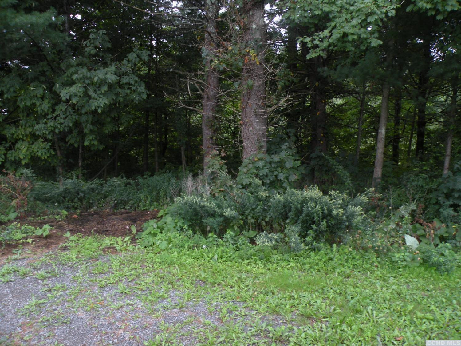 53 Cedar Street Cairo, NY 12413 - Photo 4 of 6 a view of backyard with green space