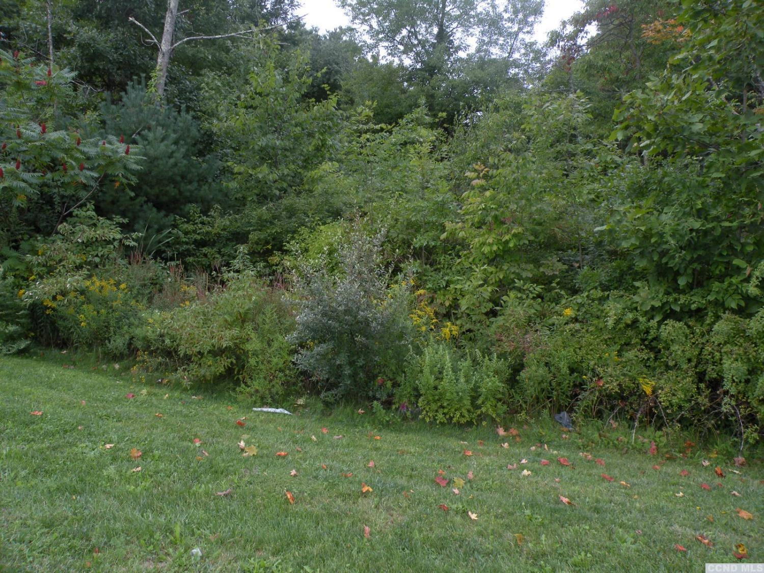 53 Cedar Street Cairo, NY 12413 - Photo 5 of 6 a view of a lush green forest
