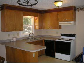 5171 Thompson Mill Road Snow Camp, NC 27349 - Photo 2 of 10 Gallery Image 2