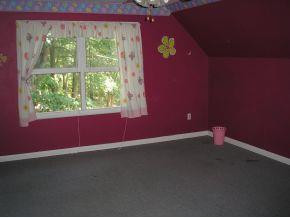 5171 Thompson Mill Road Snow Camp, NC 27349 - Photo 6 of 10 Gallery Image 6