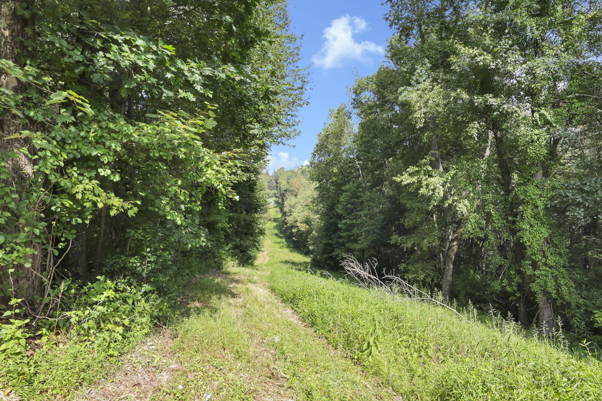0 Cambridge Road Coshocton, OH 43812 - Photo 27 of 54 23-web-or-mls-011A1884