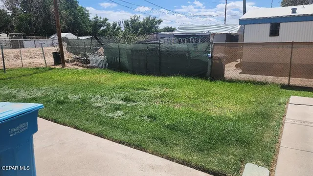 a view of a backyard