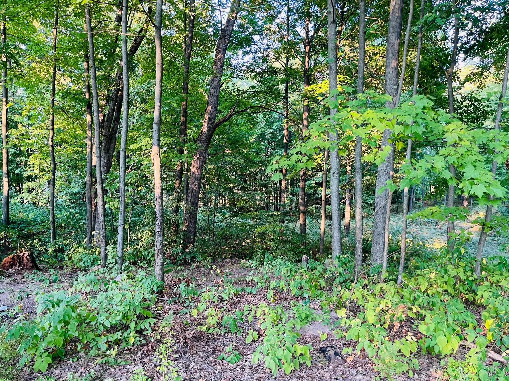 9222 East 8th Street Reed City, MI 49677 - Photo 21 of 28 Gallery Image 21