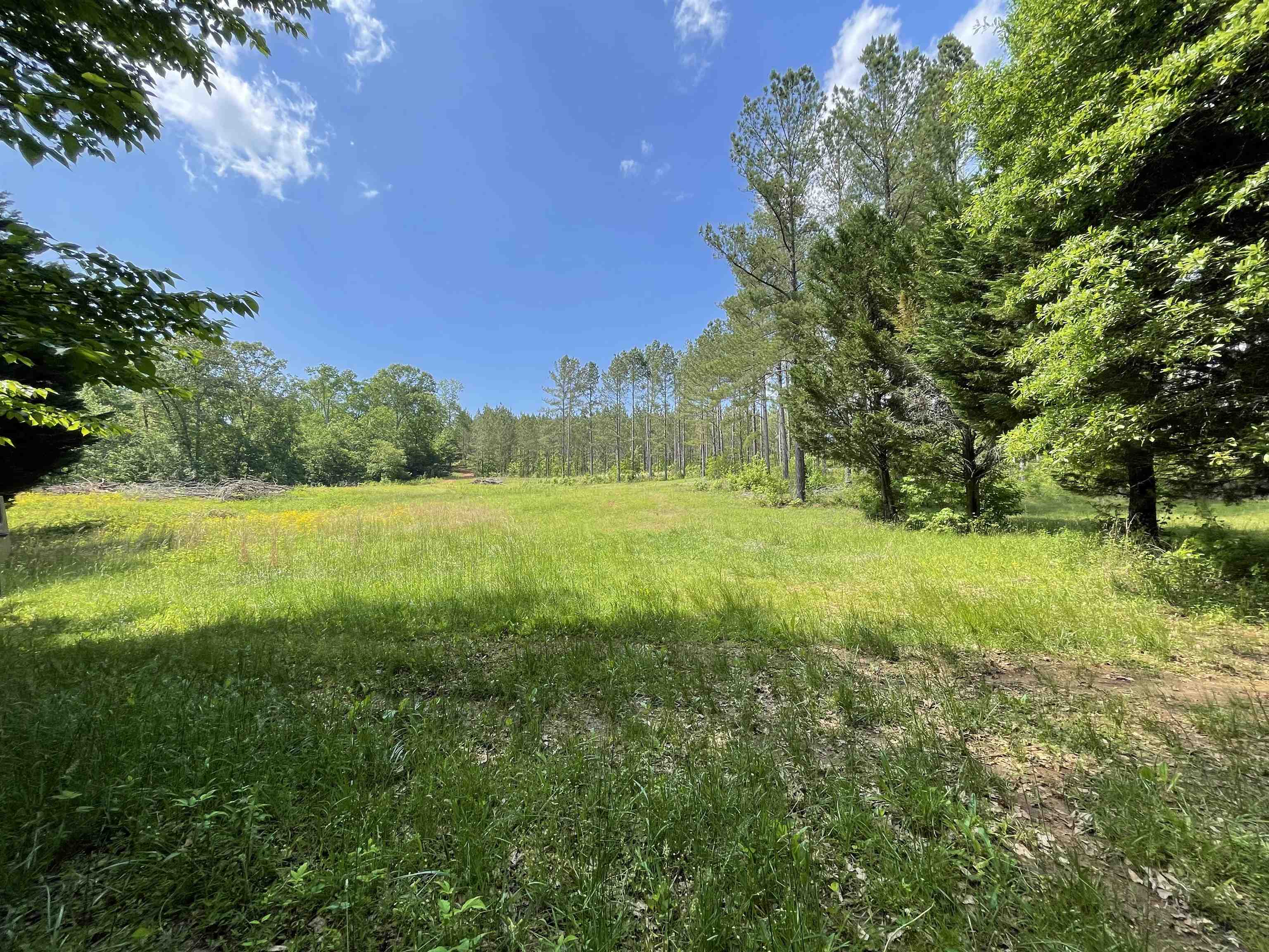 1944 Dr Johns Road Westminster, SC 29693 - Photo 31 of 38