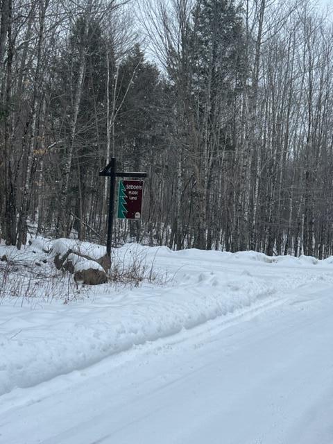 1 Railroad Bed Rd Lake View Milo, ME 04463 - Photo 26 of 27 Sebois Preseve across the road