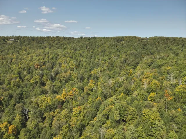 $79,900 | 0 Alma Hill Road, Alma, NY 14708