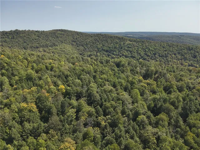 $79,900 | 0 Alma Hill Road, Alma, NY 14708