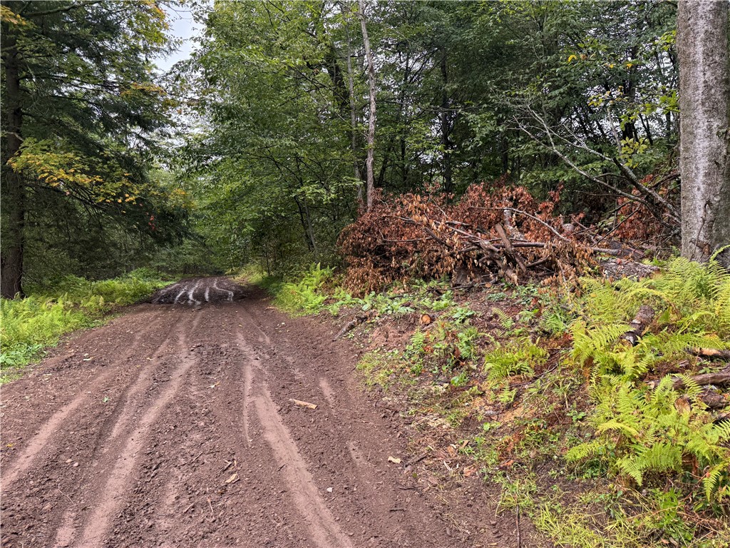 0 Alma Hill Road Alma, NY 14708 - Photo 2 of 13