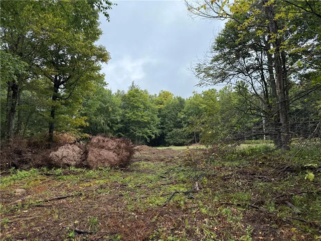 $79,900 | 0 Alma Hill Road, Alma, NY 14708