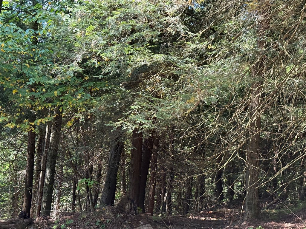 0 Alma Hill Road Alma, NY 14708 - Photo 7 of 13